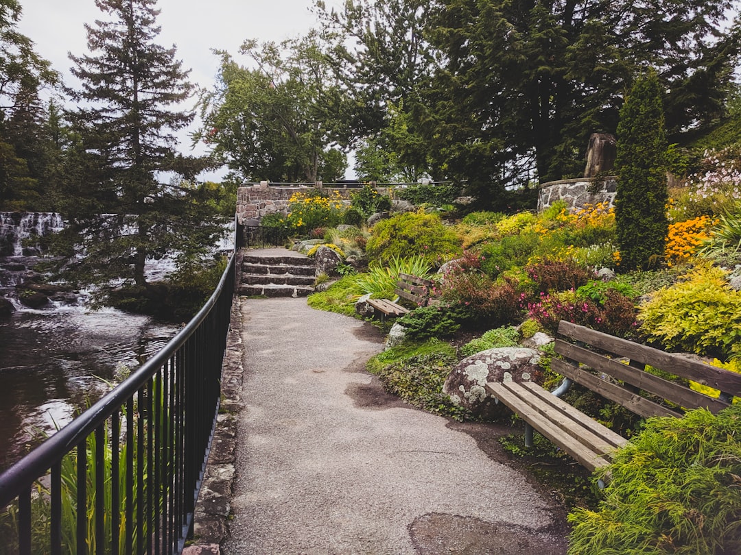 Kvíz o parkoch v mestách: Central Park, Hyde Park… dáš 10/10?