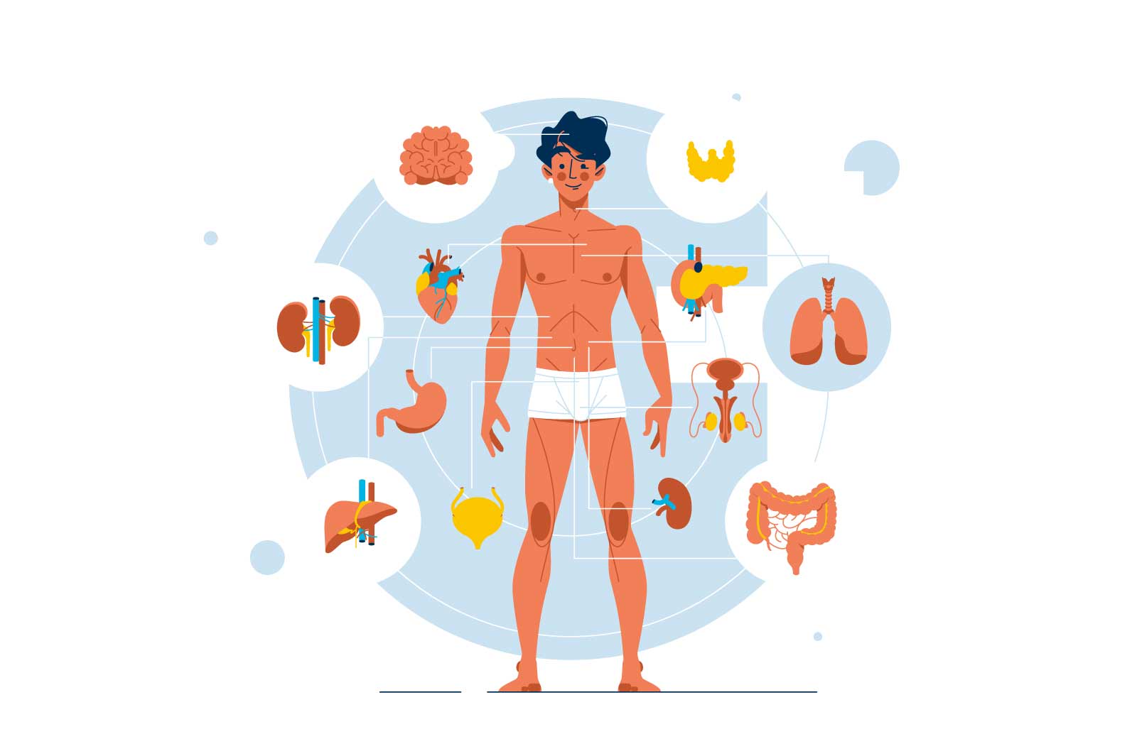 Kvíz o tele, zdraví a medicíne: vieš, čo sa deje vo vnútri teba?