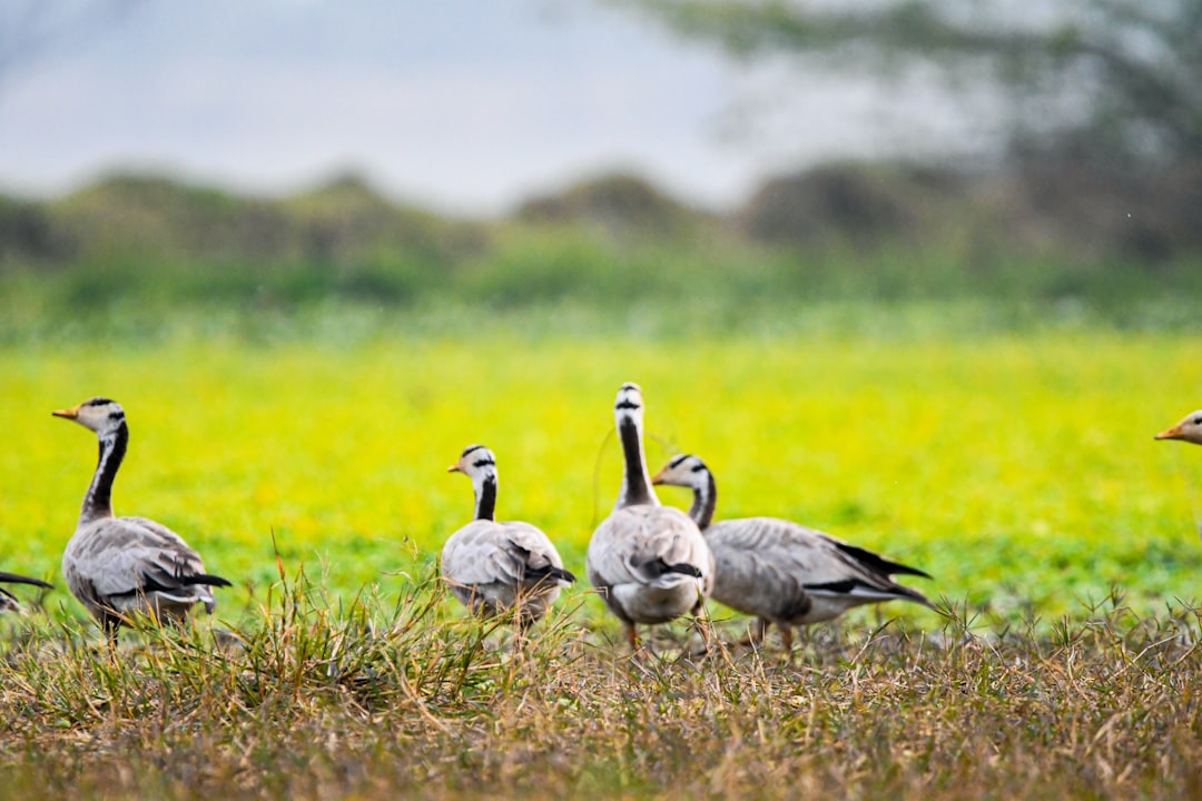 Otestuj sa: ekosystémy planéty bez bifľovania, len logika