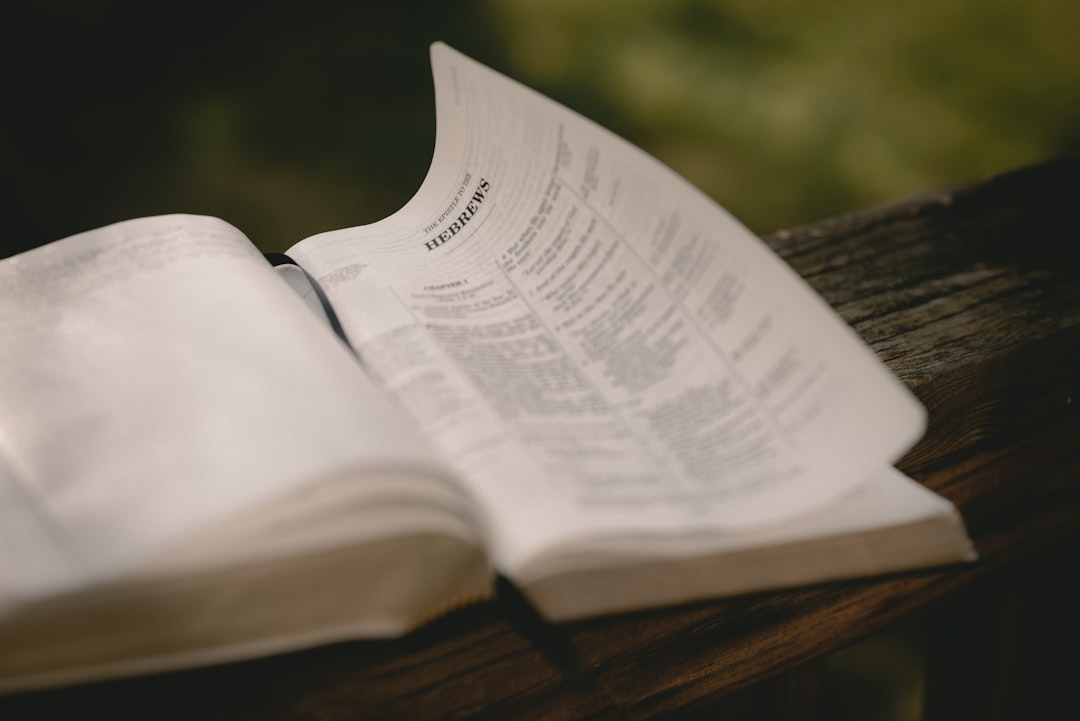 Slovník moderného Slováka: Rozumieš cudzím výrazom z práce a sociálnych sietí?