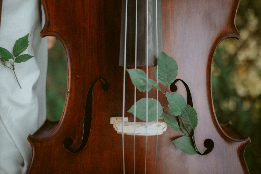 Nástroje sveta: Viete, odkiaľ pochádza sitár, koto či djembe?