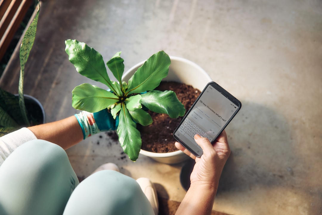 Modré svetlo a digitálny detox: čo zaberie podľa výskumu?