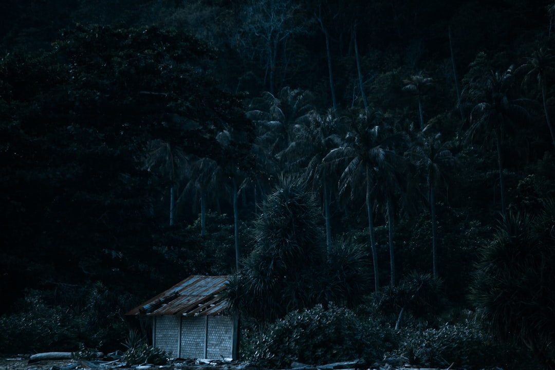 Predator kvíz: vieš, kde loví a aké zbrane používa?