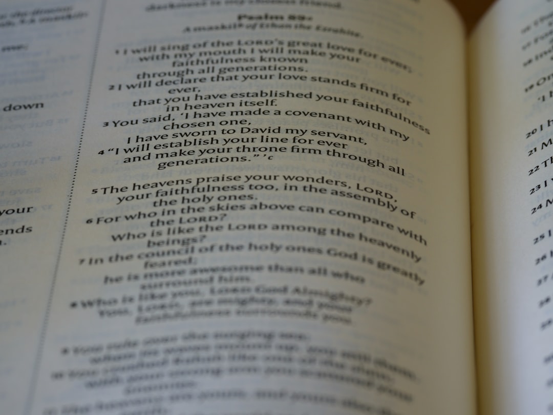 Bez práce nie sú koláče: otestuj sa z prísloví, ktoré hovoríme denne